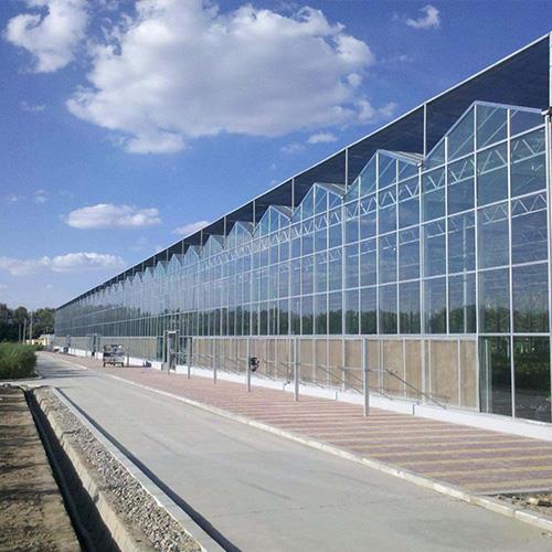 智能温室羞羞视频网站建设 智能温室羞羞视频网站建设