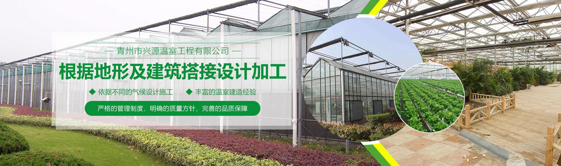 公司男女羞羞视频软件
